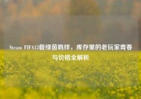 Steam FIFA13载绿茵羁绊，库存里的老玩家青春与价格全解析