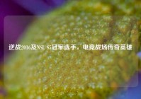逆战2016及NSL S5冠军选手，电竞战场传奇英雄