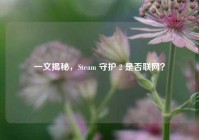 一文揭秘，Steam 守护 2 是否联网？