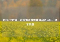 PUBG 计数器，游戏体验升级利器却遇皮肤不显示问题