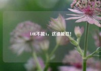 LOL不能A，这谁能忍！