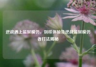逆战遇上监狱模仿，别样体验及逆战监狱模仿者打法揭秘