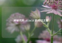 神秘代码 cf2536728 的奇幻之旅