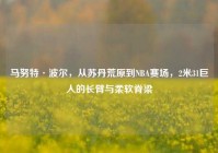 马努特·波尔，从苏丹荒原到NBA赛场，2米31巨人的长臂与柔软脊梁