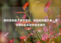 我的宠物是大象好看吗·我的宠物是大象：不可思议的家庭伙伴全测评