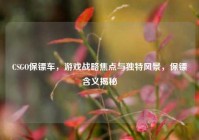 CSGO保镖车，游戏战略焦点与独特风景，保镖含义揭秘