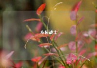 永恒战士