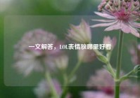 一文解答，LOL表情放哪里好看