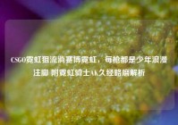 CSGO霓虹狙流淌赛博霓虹，每枪都是少年浪漫注脚 附霓虹骑士AK久经略磨解析