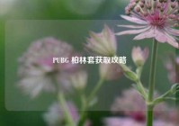 PUBG 柏林套获取攻略
