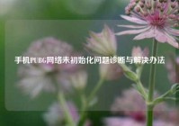 手机PUBG网络未初始化问题诊断与解决办法