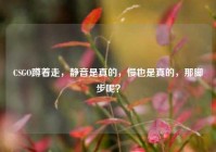 CSGO蹲着走，静音是真的，慢也是真的，那脚步呢？