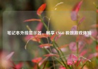 笔记本外接显示器，畅享 CSGO 极致游戏体验