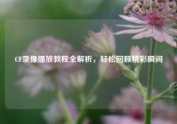 CF录像播放教程全解析，轻松回顾精彩瞬间