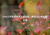 PUBG5C开启绝地求生新征程，探究pubg5成长值价格