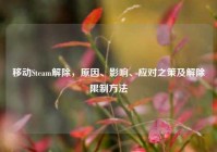 移动Steam解除，原因、影响、应对之策及解除限制方法
