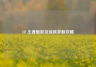 CF 王者魅影及皮肤获取攻略