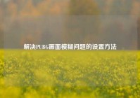 解决PUBG画面模糊问题的设置方法