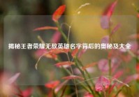 揭秘王者荣耀无敌英雄名字背后的奥秘及大全