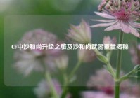 CF中沙和尚升级之旅及沙和尚武器重量揭秘