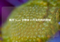 揭开 Steam 令牌中 R 开头代码的奥秘