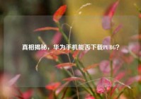 真相揭秘，华为手机能否下载PUBG？