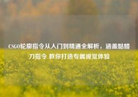 CSGO轮廓指令从入门到精通全解析，涵盖骷髅刀指令 教你打造专属视觉体验