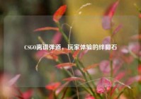 CSGO离谱弹道，玩家体验的绊脚石