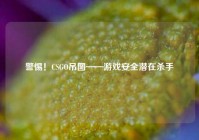 警惕！CSGO吊图——游戏安全潜在杀手