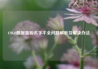 CSGO数据面板名字不全问题解析及解决办法