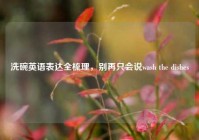 洗碗英语表达全梳理，别再只会说wash the dishes