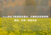 Steam必玩飞机游戏全盘点，从硬核空战到休闲模拟，总有一款适合你