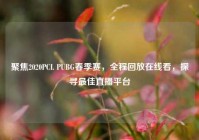 聚焦2020PCL PUBG春季赛，全程回放在线看，探寻最佳直播平台