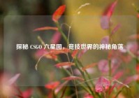 探秘 CSGO 六星图，竞技世界的神秘角落