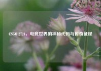 CSGO 2724，电竞世界的神秘代码与传奇征程
