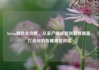 Steam调色全攻略，从客户端皮肤到游戏画面，打造你的专属视觉风格