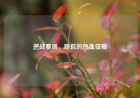逆战赛场，陈侃的热血征程