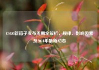 CSGO新箱子发布周期全解析，规律、影响因素及2024年最新动态