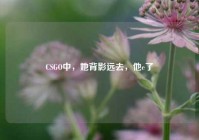 CSGO中，她背影远去，他e了