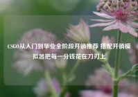 CSGO从入门到毕业全阶段开销推荐 搭配开销模拟器把每一分钱花在刀刃上