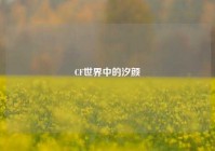 CF世界中的汐颜