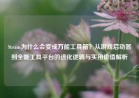 Steam为什么会变成万能工具箱？从游戏启动器到全能工具平台的进化逻辑与实用价值解析