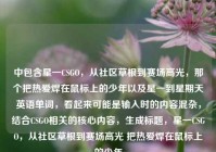 中包含星一CSGO，从社区草根到赛场高光，那个把热爱焊在鼠标上的少年以及星一到星期天英语单词，看起来可能是输入时的内容混杂，结合CSGO相关的核心内容，生成标题，星一CSGO，从社区草根到赛场高光 把热爱焊在鼠标上的少年