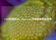 CSGO开局持AK，whats wrong开启热血枪战传奇