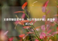 王者荣耀信誉申诉，为公平竞技护航，速寻申诉入口