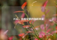 PUBG，抬棺兄弟的别样风采