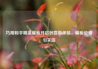 巧用和平精英模板开启创意新体验，模板价格引关注