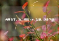光环助手，助力畅玩 PUBG 台服，点击下载