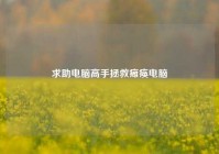 求助电脑高手拯救瘫痪电脑