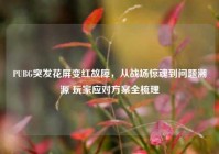 PUBG突发花屏变红故障，从战场惊魂到问题溯源 玩家应对方案全梳理